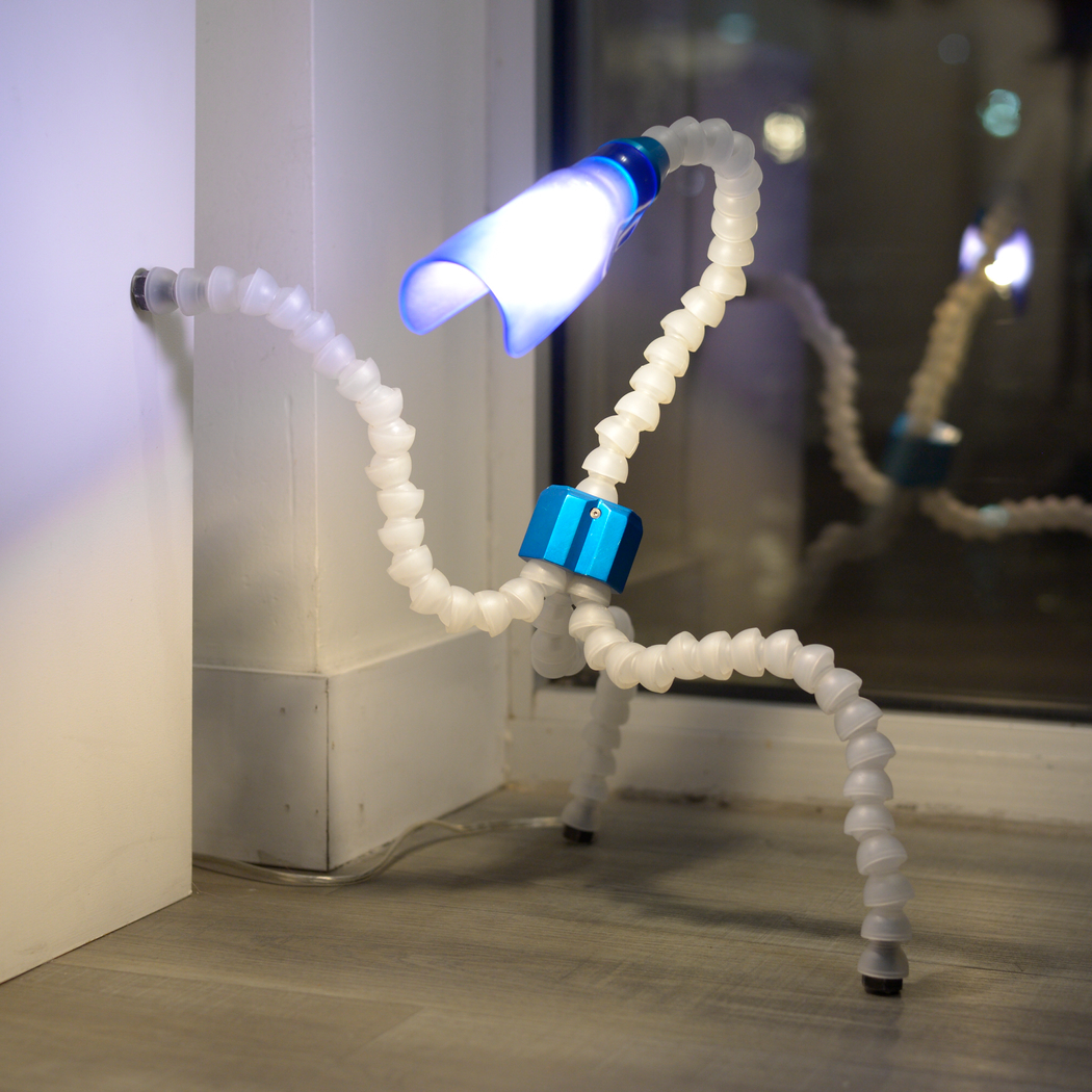 vertebrate lamp blue